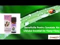 Uleiului esential de ylang ylang un miracol pentru sanatate vivasan vivasan romania