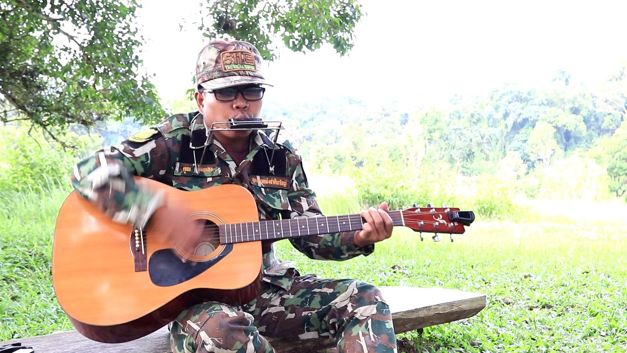 เพลง สายตรวจป่าไม้