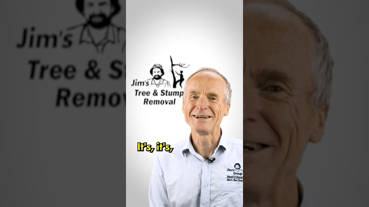 Which Jim's franchise makes the most money?