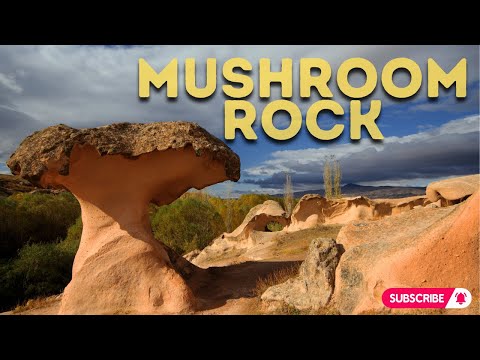 Exploring the Natural Wonder of Mushroom Rock in Tamanrasset, Algeria