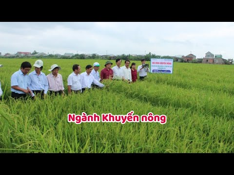 Ngành Khuyến nông là gì? Học gì? Ra trường làm gì? - youtube