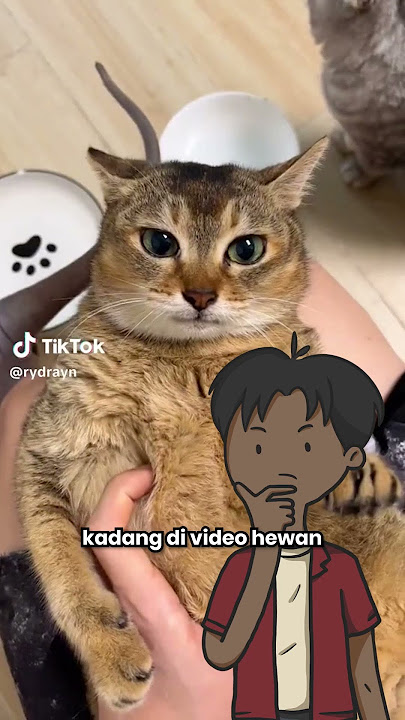 Moka Chan Oshiete Kureta