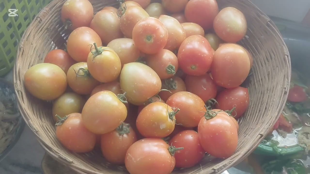 Aja chai khana banaudai ani di ama lea pathai dinu vako ghau ghar tirako tamatar  dudhai    video 