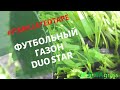 Duo Star газон из 100 % ПЭ фибриллированной ленты для мини-футбола. Искусственная трава JUTAgrass