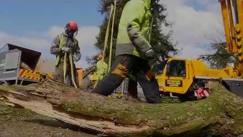 The Tree Doctors - Tree Surgeon Video