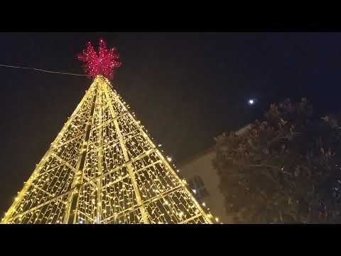 Video: Albero Di Capodanno - Tradizione E Innovazione