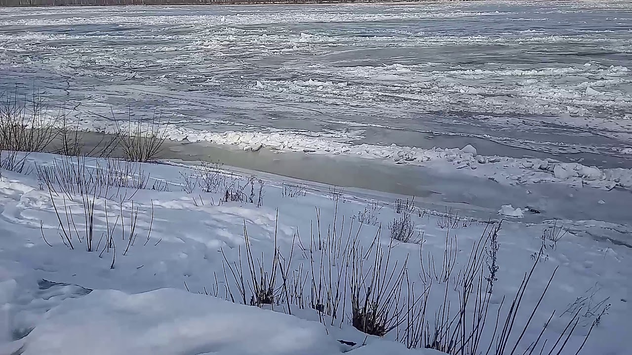 Волга матушка высоцкий