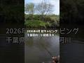 2026年4月初チャビング 千葉県内小規模河川でオイカワ #釣り #チャビング #オイカワ #ロデオクラフト#ノアマイクロ