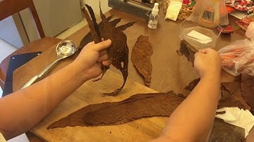 Speedy Cigar Rolling (Music: Reggae-Cuban Smoke)