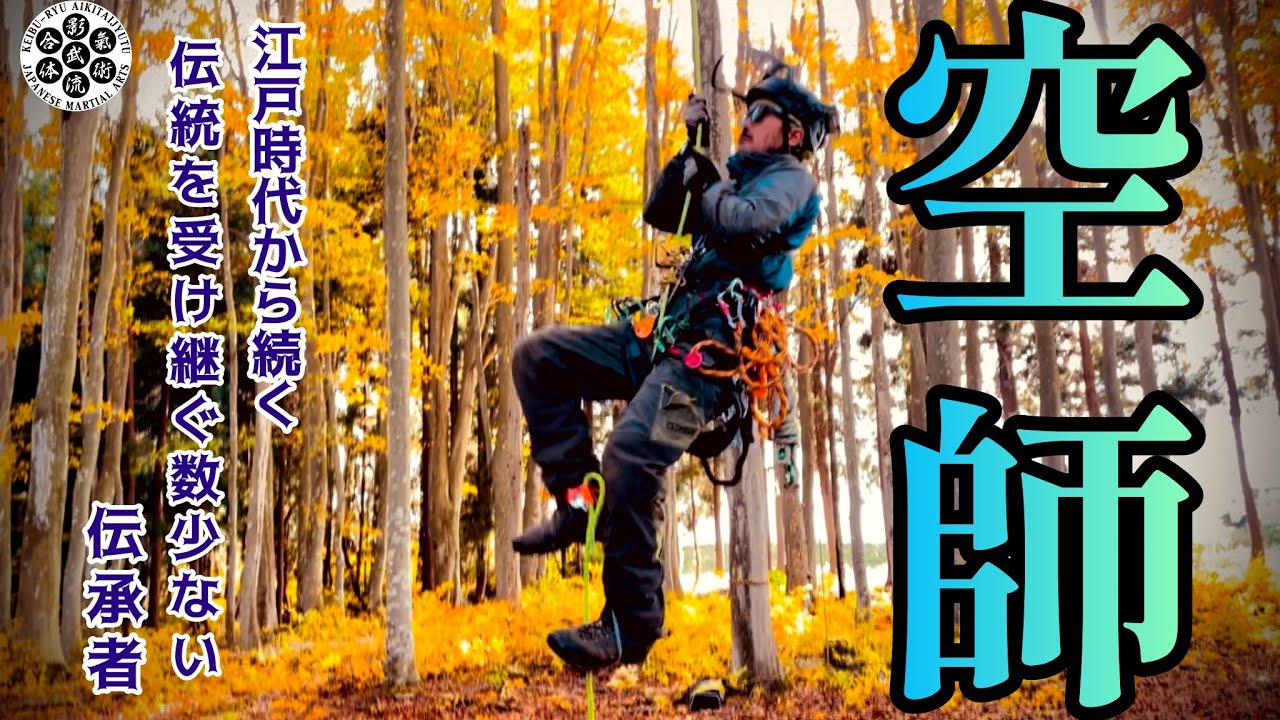 大木　薪にして約3年分　特殊伐採　空師　元職人　変態求む Former employee Kikori, who went independent and started a
