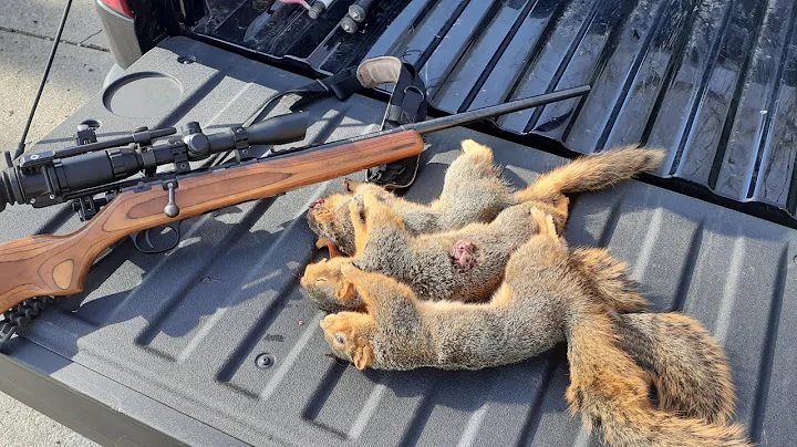 Winter Squirrel Hunting with 22LR GRENADES!!!