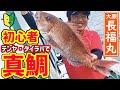 【マダイ釣り】タイラバ＆ひとつテンヤで真鯛釣りを始めよう！ 初心者必見♪真鯛の釣り方 ｜外房・大原港の長福丸で大鯛でた～！