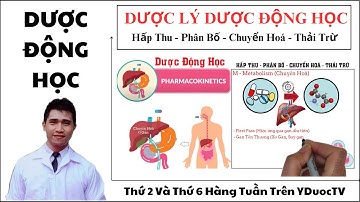 Dược Động Học Hấp Thu - Phân Bố - Chuyển Hoá Và Thải Trừ | Dược Lý Dược Động Học | Y Dược TV