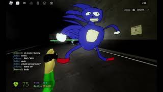 Sanic in the tunnels?