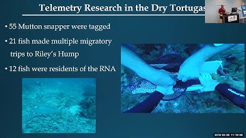 Using Acoustic Telemetry with Alejandro Acosta, FWRI | 2018 SE FL Artificial Reef Workshop