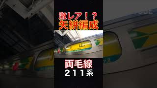 激レア⁉️ 211系 矢絣編成 両毛線 #jaytube #train