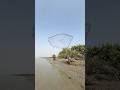 Net throw best skill show #shorts #fishing #fishinglife #fishingvideo