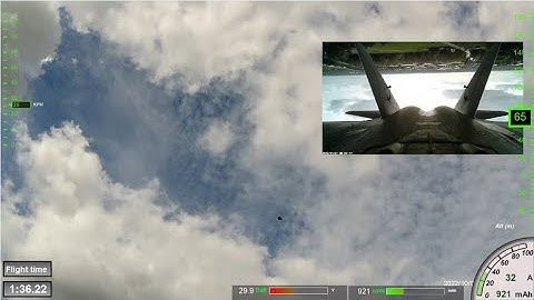 Freewing F-22 90mm 8S - flight 50 with telemetry