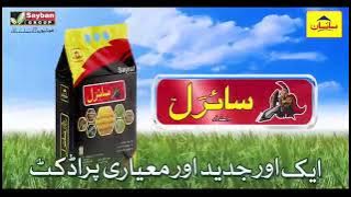 Download lagu #sayban