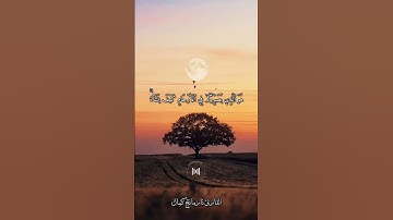 تلاوات ایتین سورة آل عمران💐#القرآن_الكريم #القارئ_ئارمانج_کمال #quran #سورة_آل_عمران