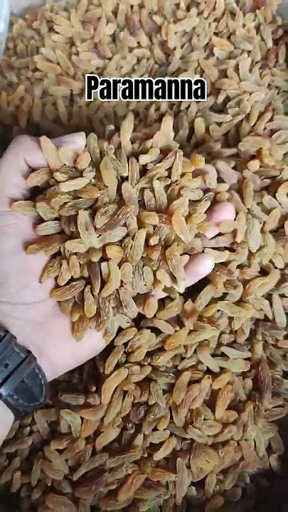 Kismis wholesale 7980498772 #kismis #dryfruits #masala