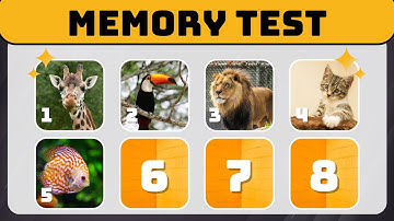 Memory Quiz Animal Edition