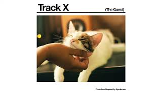 Black Country, New Road - Track X The Guest Official Audio