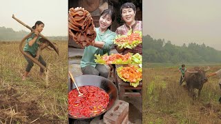 Yi Tian Tian plows the fields and goes home to eat pork chops and hairy tripe