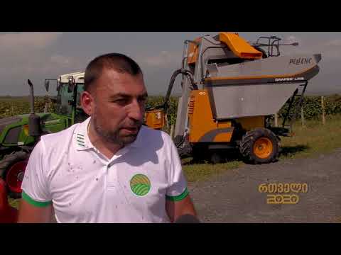 რთველი 2020