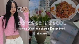 OCTOBER IN SEOUL (hair change, mukbang, Daegu trip)