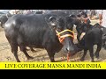 LIVE COVERAGE MANSA MANDI PUNJAB INDIA