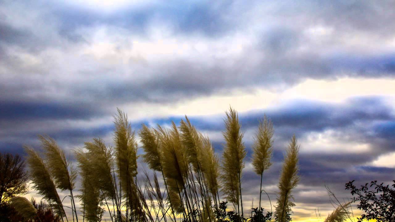 Wheels - Comfortably Numb