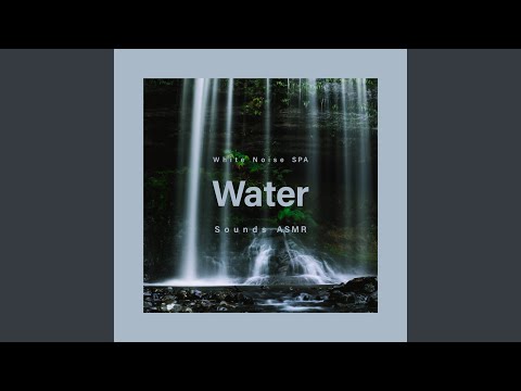 Sleduj 白噪音 舒眠的鳥鳴流水 na YouTube