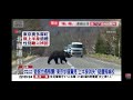 2026-05-20中視2200即時新聞現場-遊日大警戒! 日本黑熊悚現蹤小學前 熊出沒＂東京淪陷＂