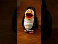 Your Penguin Roommate Has Anger Issues Comedy Funny 