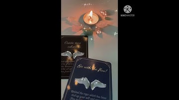 💫 Handmade Oracle flip through - bộ bài oracle handmade💙 #oracle#tarot#handmade#pickacard#Shorts