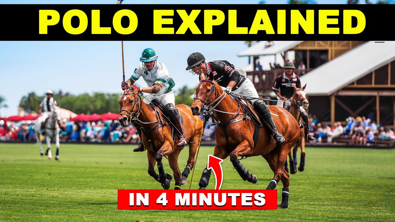 Как играть в поло для начинающих | Полное руководство
