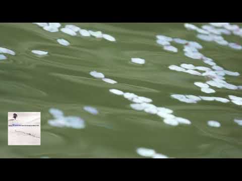 Schubert: Winterreise, op.89 D 911 / Prégardien, Staier 1996