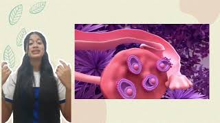 Animación del ciclo menstrual mensual y el ciclo ovárico