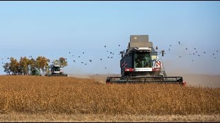Family farmers fight corporations in North Dakota