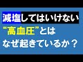 熊本の専業アフィリエイターポンポンさんとの対談23～減塩したらいけない。高血圧の意味～