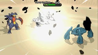 Pokemon X/Y - Online Multi Battles 12