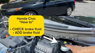 How to check & add BRAKE FLUID on HONDA CIVIC (2011-2016) #hondacivic #honda#youtube #brakefluid
