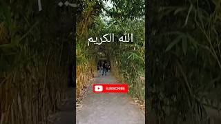 ❤️🕋islamic video 🕋❤️##minivlogs #shorts #youtubeshorts #virals #trending