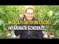 Cosa sono e Come funzionano i Mercati Generali Ortofrutticoli? (in linea di massima)