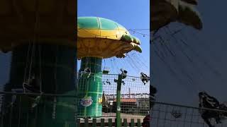 Turtle spin