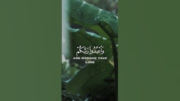 يا أيها الذين آمنوا اركعوا واسجدوا | سورة الحج - الآية 77 | Quran Surah Al-Hajj - 77