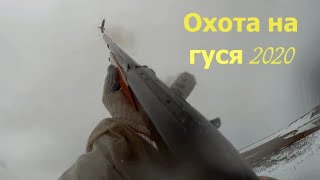 Goose hunting in Taimyr 2020