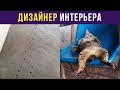 Приколы. КОТ – ДИЗАЙНЕР ИНТЕРЬЕРА | Мемозг #87