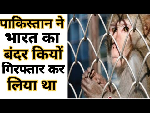 Top 10 Amazing Facts About India Amazing facts Random Facts #Shorts#Short #YoutubeShorts #Anandfacts